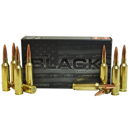 Hornady Black .300 Blackout 110 gr V-MAX