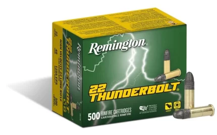 Remington Thunderbolt .22 LR 40 gr LRN